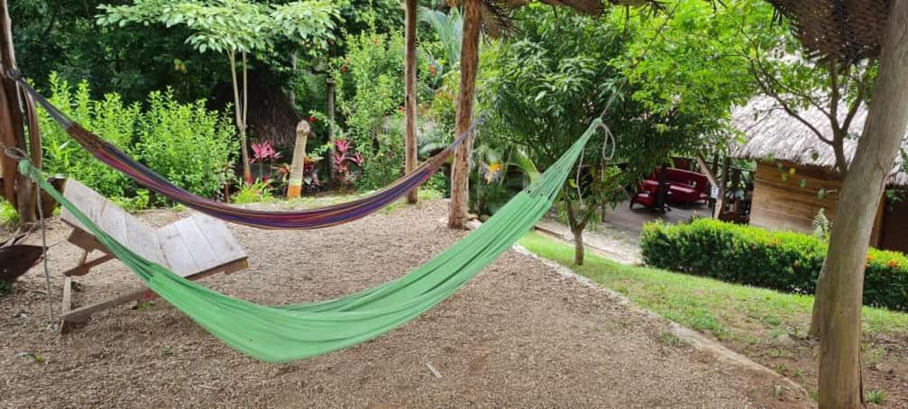 Eco Hostal Monolandia El Zaino Exteriör bild