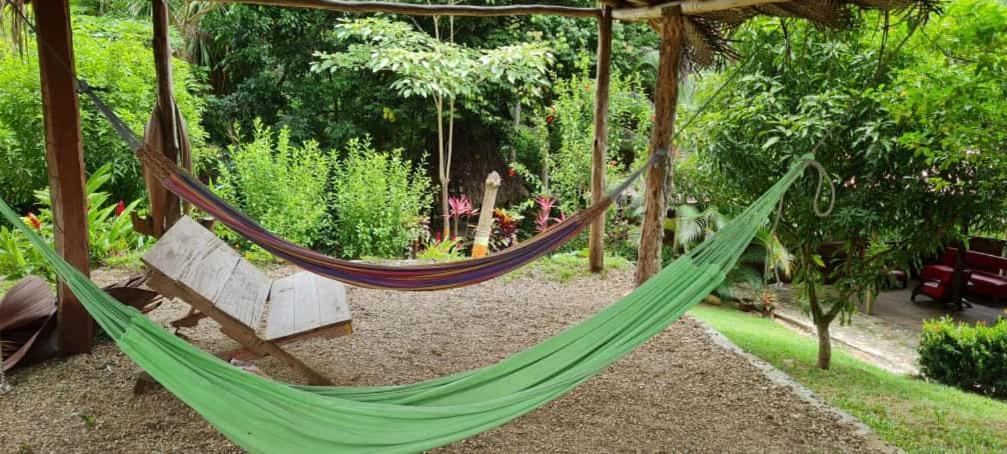 Eco Hostal Monolandia El Zaino Exteriör bild
