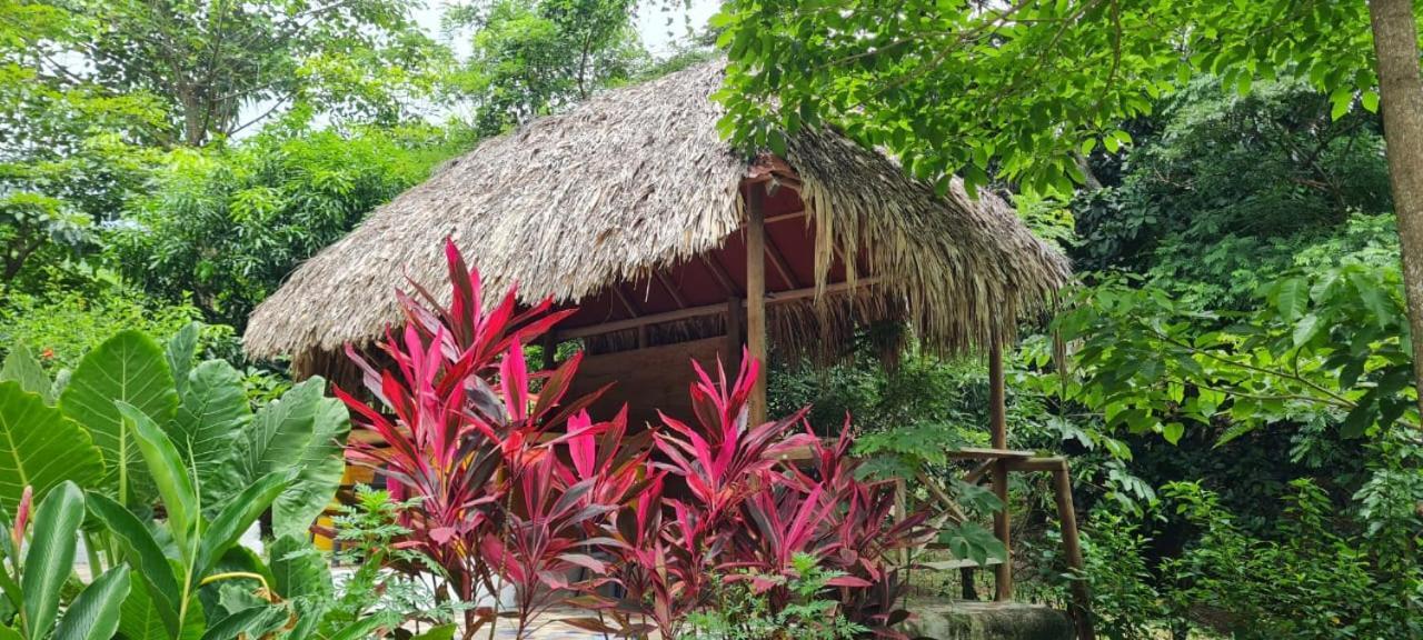 Eco Hostal Monolandia El Zaino Exteriör bild