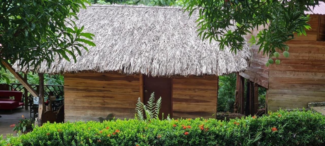 Eco Hostal Monolandia El Zaino Exteriör bild