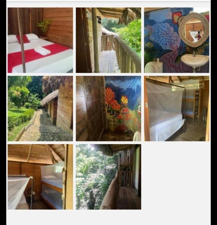 Eco Hostal Monolandia El Zaino Rum bild